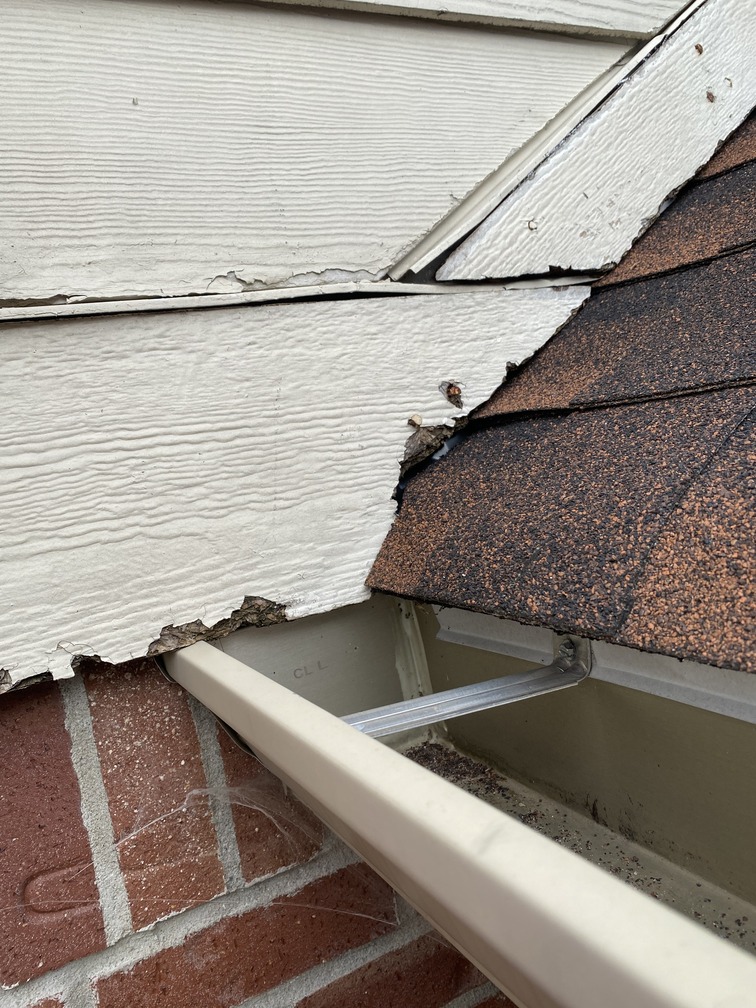 Closeup of damaged siding at roof and gutter