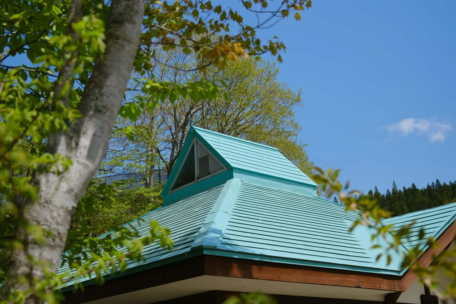 House with light blue metal roof